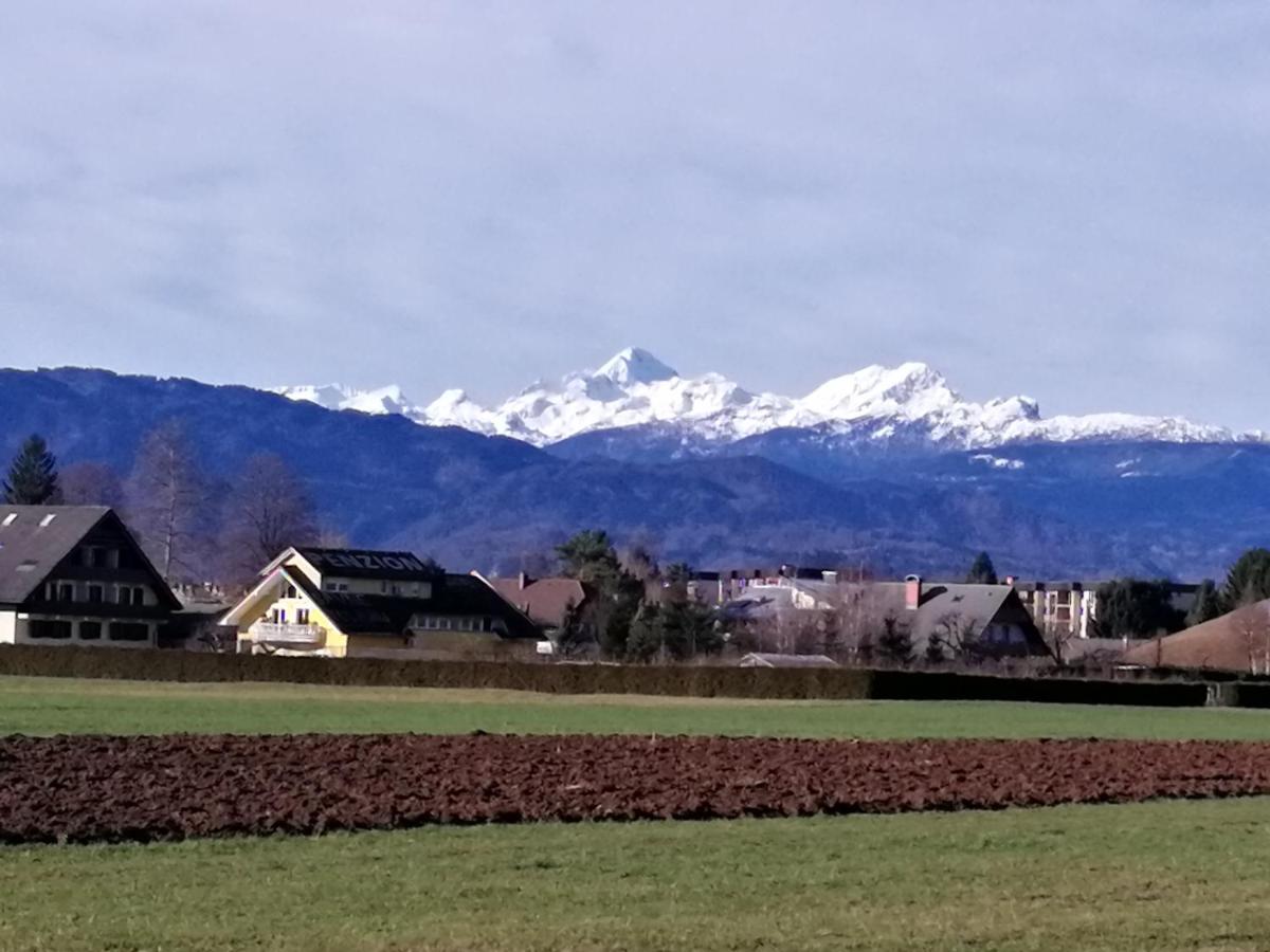 Edelweiss Apartamento Radovljica Exterior foto